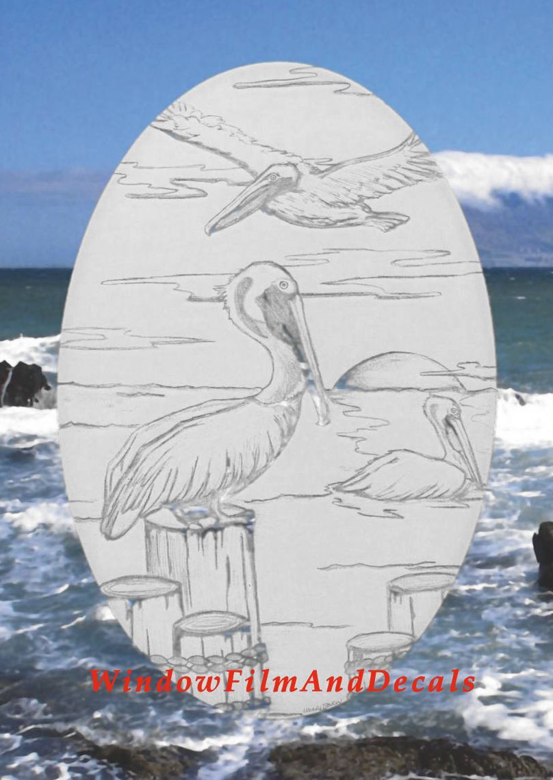 Pelican Scene Oval Static Cling Window Decal - White w/Clear Design