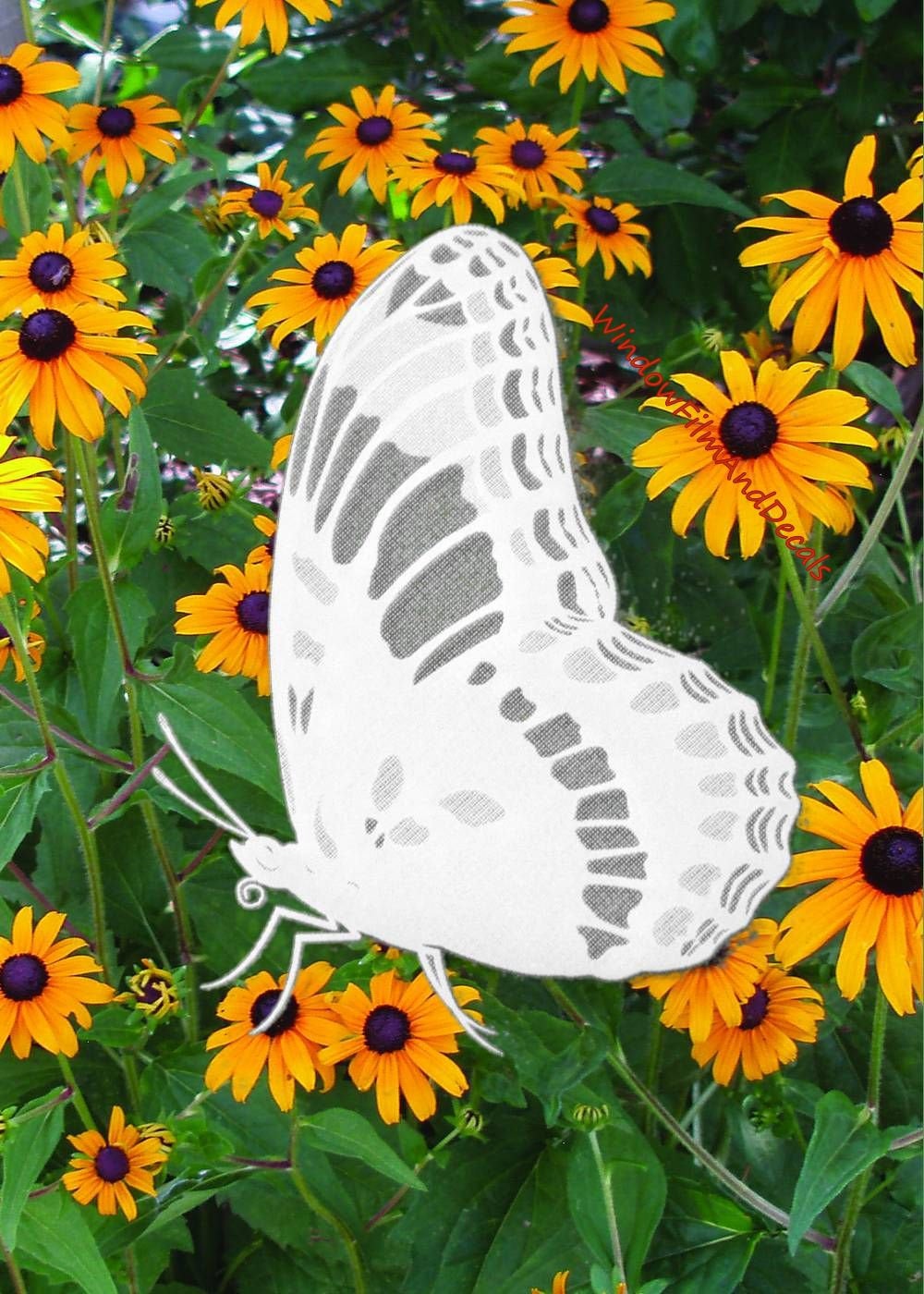 Butterfly (Rev) Oval Static Cling Window Decal 4 x 6 - Clear w/White –