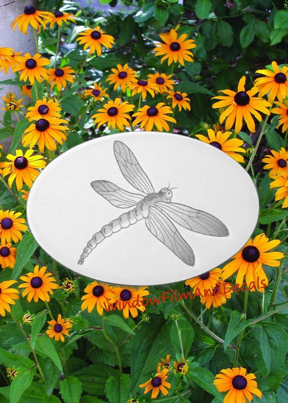 Dragonfly Oval Static Cling Window Decal 6" x 4" - White w/Clear Design