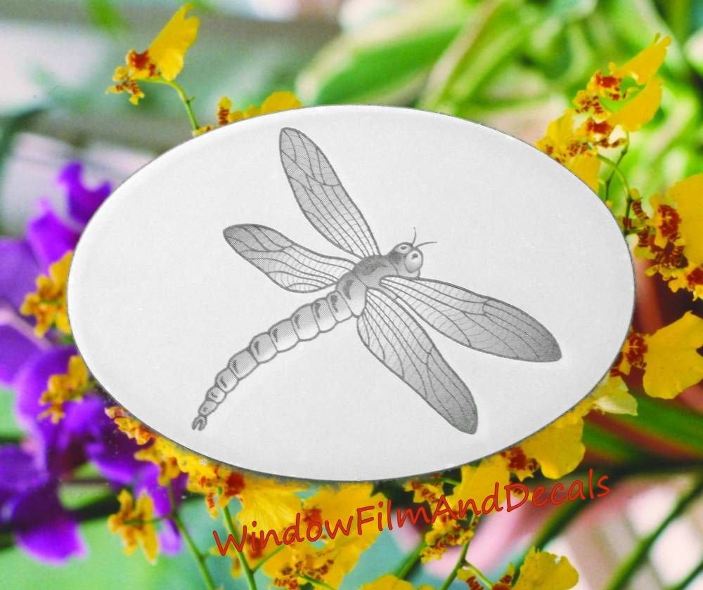 Dragonfly Oval Static Cling Window Decal 6" x 4" - White w/Clear Design
