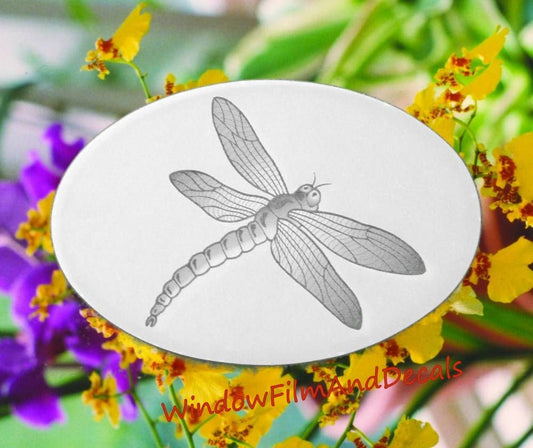 Dragonfly Oval Static Cling Window Decal 6" x 4" - White w/Clear Design