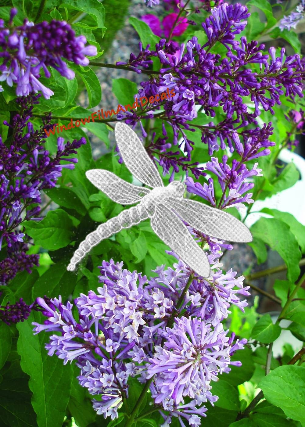 Dragonfly Oval Static Cling Window Decal 6" x 4" - Clear Oval w/White Design