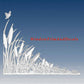 Static Cling Window Decals for Corners of Windows