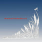 Cattail and Dragonfly Static Cling Vinyl Corners