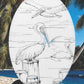 Pelican Scene Oval Static Cling Window Decal - White w/Clear Design