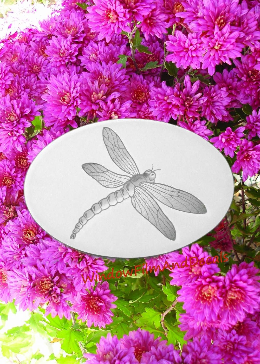 Dragonfly Oval Static Cling Window Decal 6" x 4" - White w/Clear Design